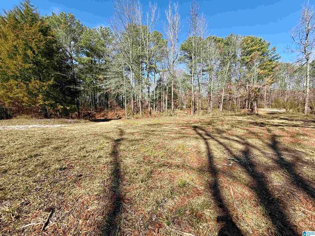 2161 ODENS MILL ROAD, Sylacauga, AL 35151