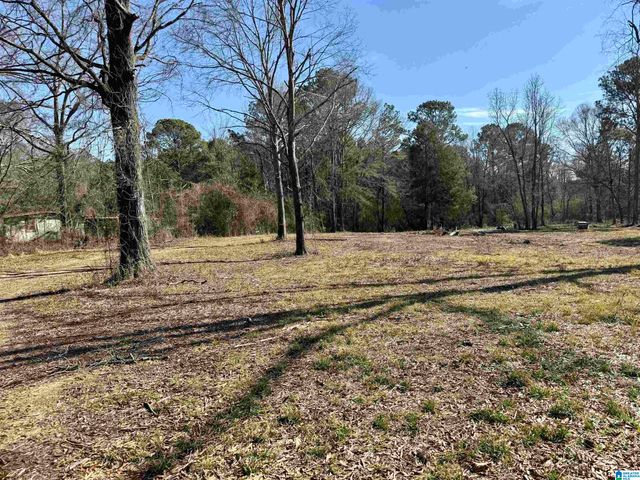 2161 ODENS MILL ROAD, Sylacauga, AL 35151