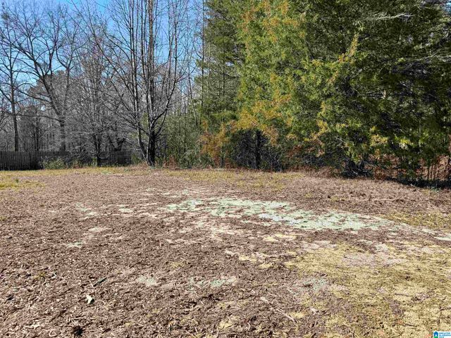 2161 ODENS MILL ROAD, Sylacauga, AL 35151