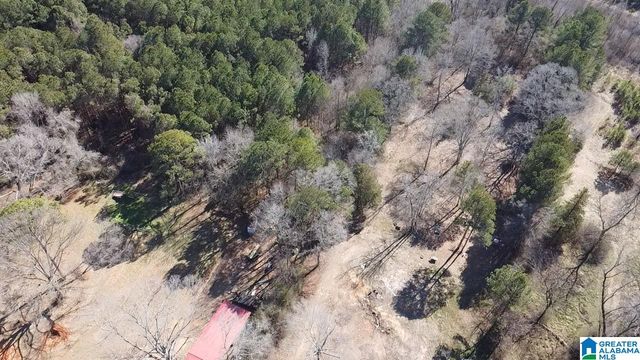 2161 ODENS MILL ROAD, Sylacauga, AL 35151