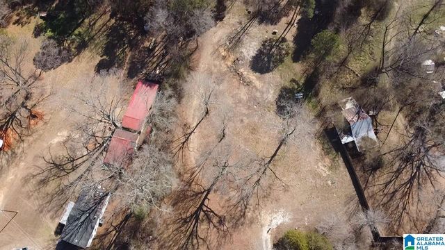 2161 ODENS MILL ROAD, Sylacauga, AL 35151