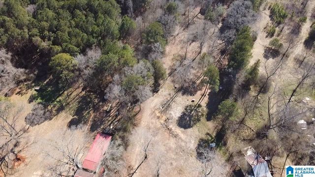 2161 ODENS MILL ROAD, Sylacauga, AL 35151