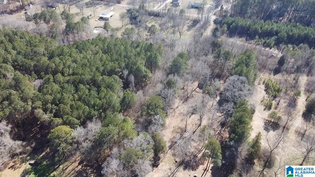 2161 ODENS MILL ROAD, Sylacauga, AL 35151
