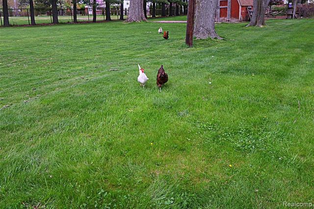 14040 Brookfield Street, Livonia, MI 48154