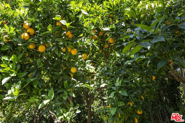 10630 Somma Way, Los Angeles, CA 90077
