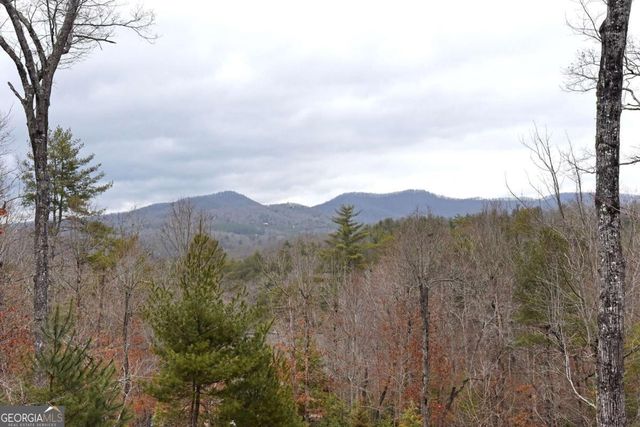 120 Aska Forest Trail 5, Blue Ridge, GA 30513