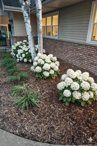 309 N 116th STREET, Wauwatosa, WI 53226