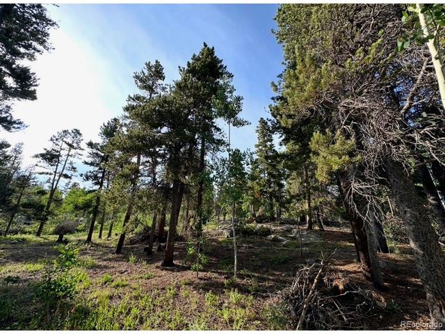 221 Timber Dr, Black Hawk, CO 80422