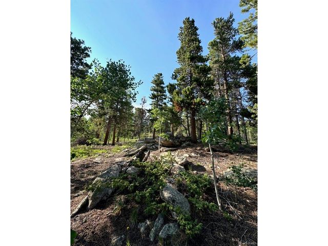221 Timber Dr, Black Hawk, CO 80422