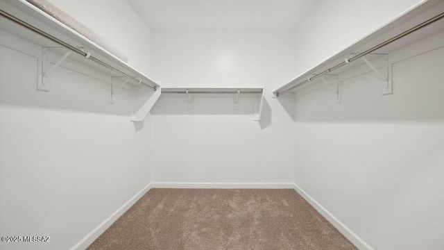 9745 N Heavenly Bamboo Drive, Marana, AZ 85653