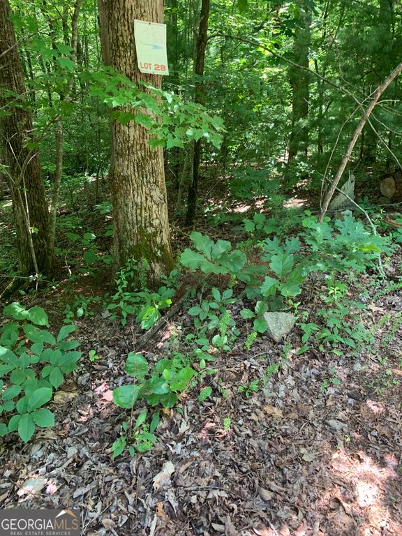 LOT 28 King Mountain Drive, Clayton, GA 30525 — photo 2