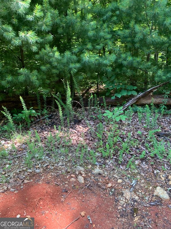 LOT 28 King Mountain Drive, Clayton, GA 30525 — photo 4