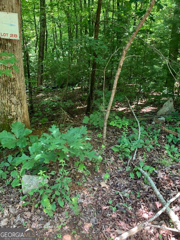 LOT 28 King Mountain Drive, Clayton, GA 30525 — photo 5