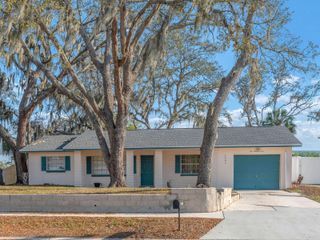 1001 HALLWOOD LOOP, Brandon, FL 33511