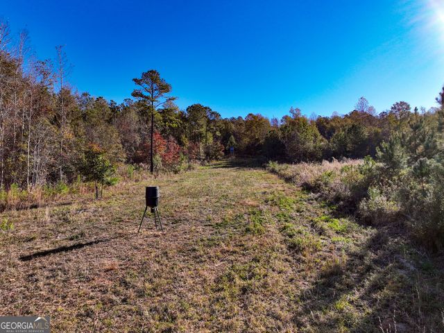 1100 Sapp Road, Dry Branch, GA 31020