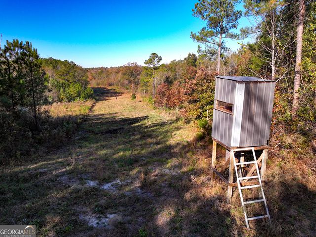 1100 Sapp Road, Dry Branch, GA 31020