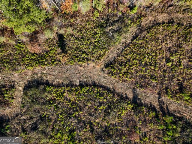 1100 Sapp Road, Dry Branch, GA 31020