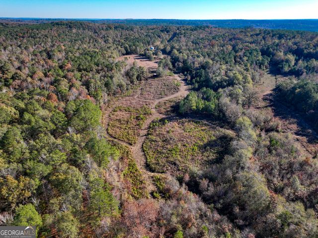 1100 Sapp Road, Dry Branch, GA 31020