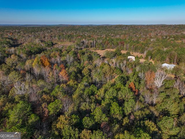 1100 Sapp Road, Dry Branch, GA 31020