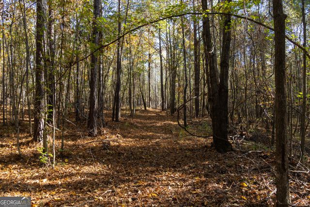 1100 Sapp Road, Dry Branch, GA 31020