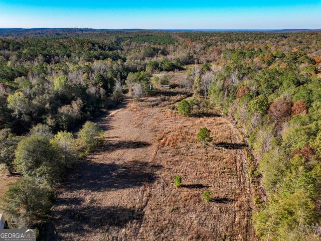 1100 Sapp Road, Dry Branch, GA 31020