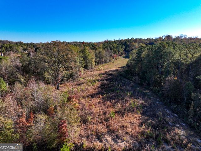 1100 Sapp Road, Dry Branch, GA 31020