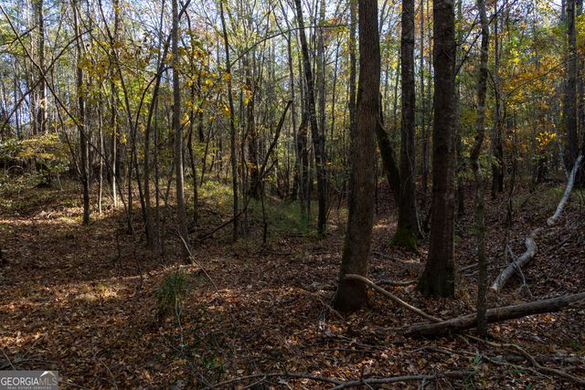 1100 Sapp Road, Dry Branch, GA 31020