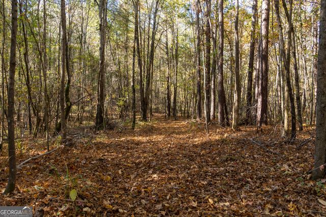 1100 Sapp Road, Dry Branch, GA 31020