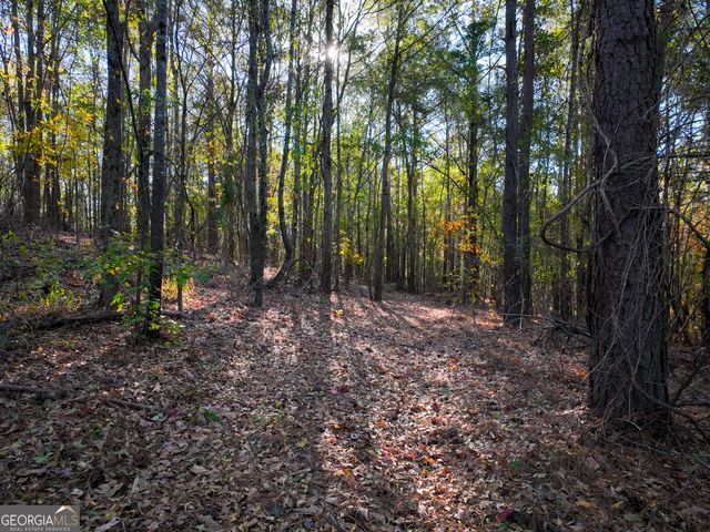 1100 Sapp Road, Dry Branch, GA 31020