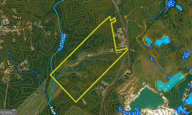 1100 Sapp Road, Dry Branch, GA 31020