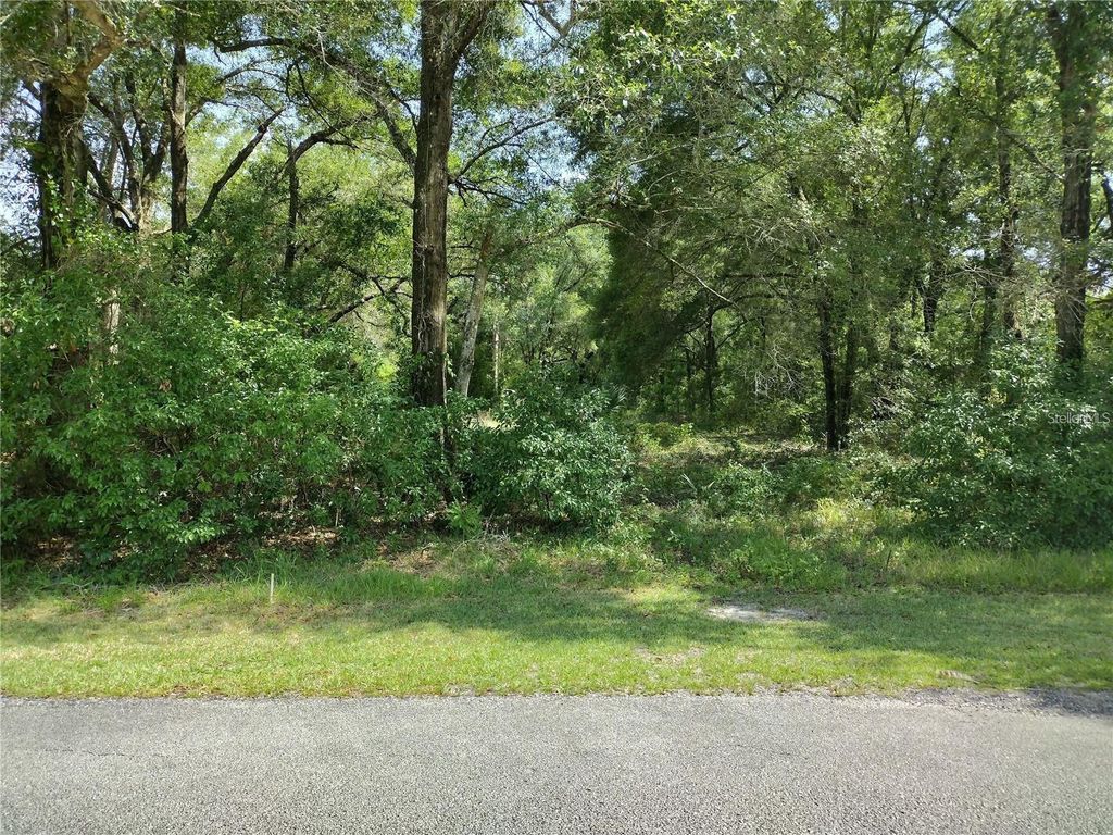 260 W VIRGINIA AVENUE, Deland, FL 32720
