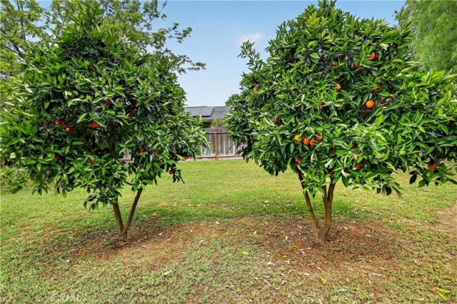 3276 E Olive Avenue, Merced, CA 95340