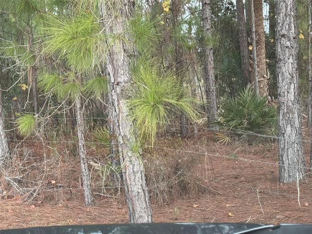 29605 FULLERVILLE ROAD, Deland, FL 32720