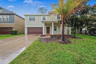 11809 TWILIGHT DARNER PLACE, Lithia, FL 33547