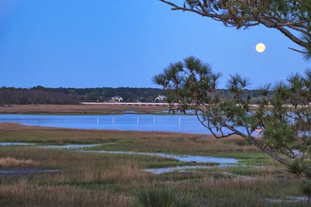1461 Cat Island Parkway, Awendaw, SC 29429