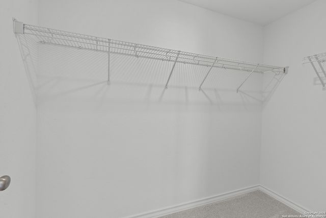 12027 Mutton Busting Drive, San Antonio, TX 78254