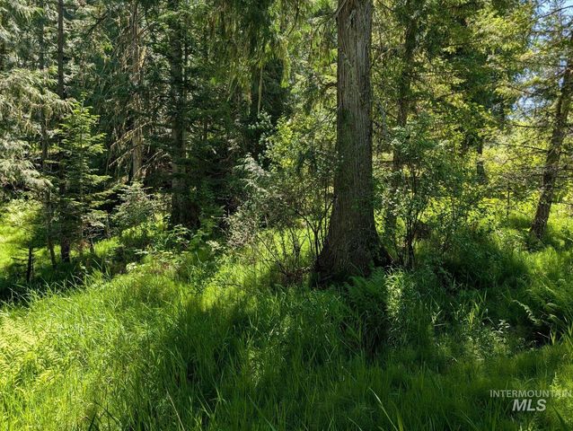 Parcel C Corner Stone Road, Kamiah, ID 83536