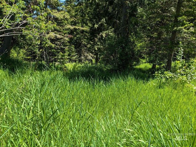 Parcel C Corner Stone Road, Kamiah, ID 83536
