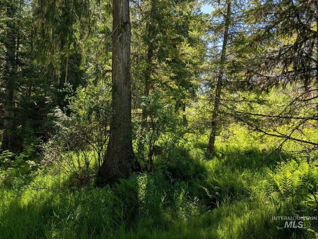 Parcel C Corner Stone Road, Kamiah, ID 83536