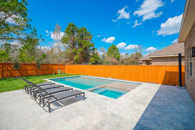 174 Black Swan Place, Magnolia, TX 77354