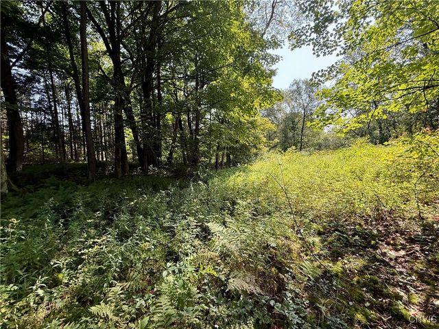 2888 County Route 17, Williamstown, NY 13493