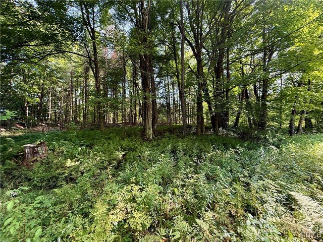 2888 County Route 17, Williamstown, NY 13493