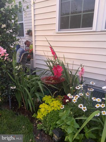 30067 PLANTATION DR, Millsboro, DE 19966