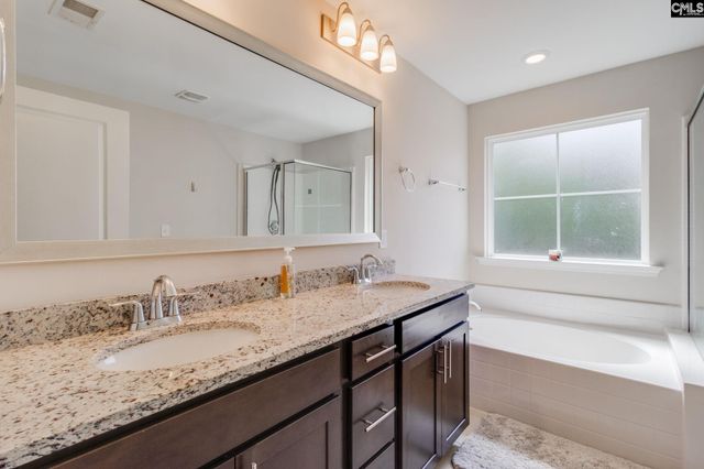 862 Bergenfield Lane, Chapin, SC 29036
