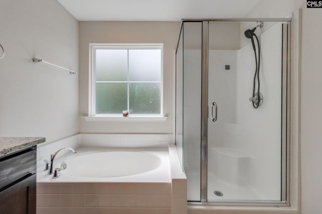 862 Bergenfield Lane, Chapin, SC 29036