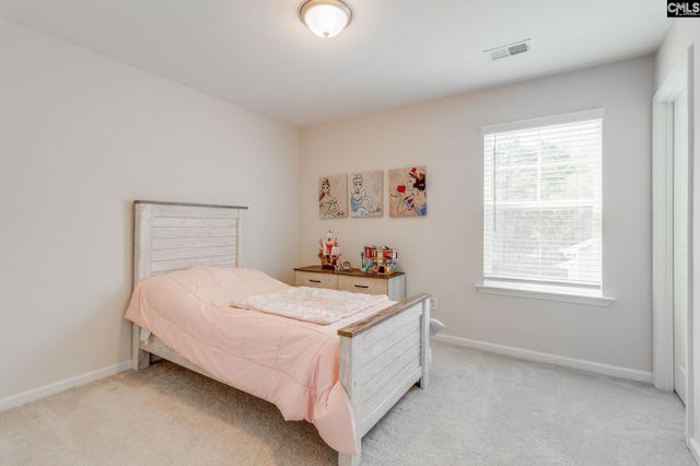 862 Bergenfield Lane, Chapin, SC 29036