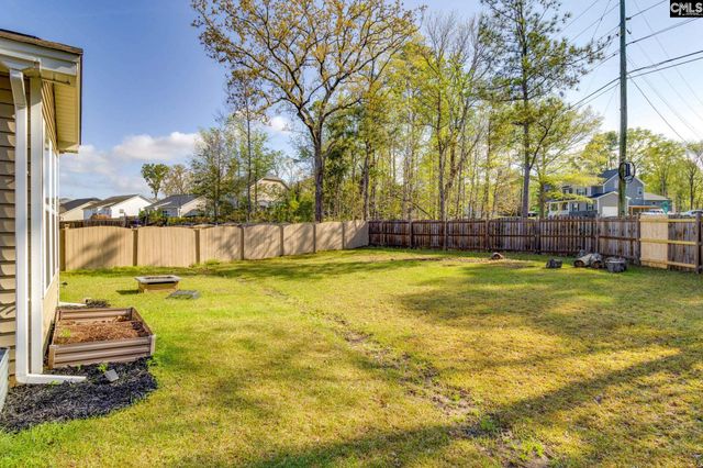 862 Bergenfield Lane, Chapin, SC 29036