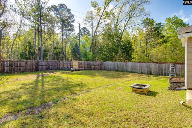 862 Bergenfield Lane, Chapin, SC 29036