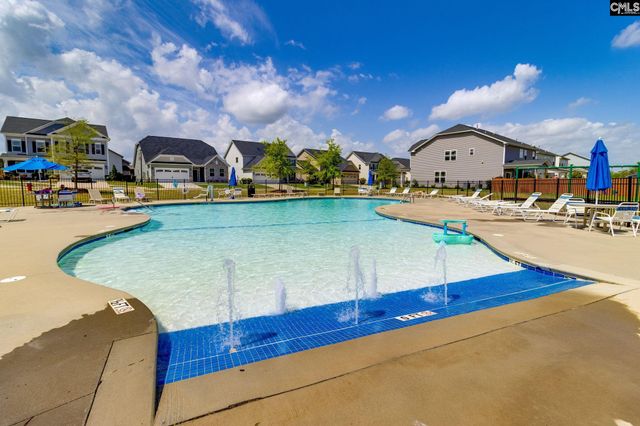 862 Bergenfield Lane, Chapin, SC 29036