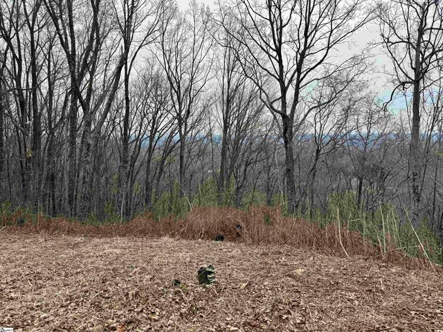 206 Eagle Rock Road, Landrum, SC 29356